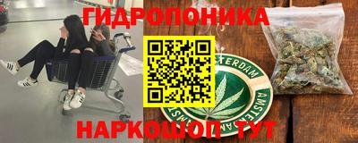 spice Кимры