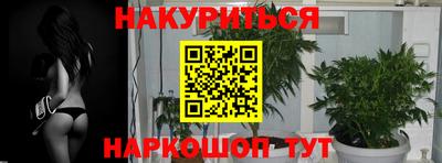 spice Кимры