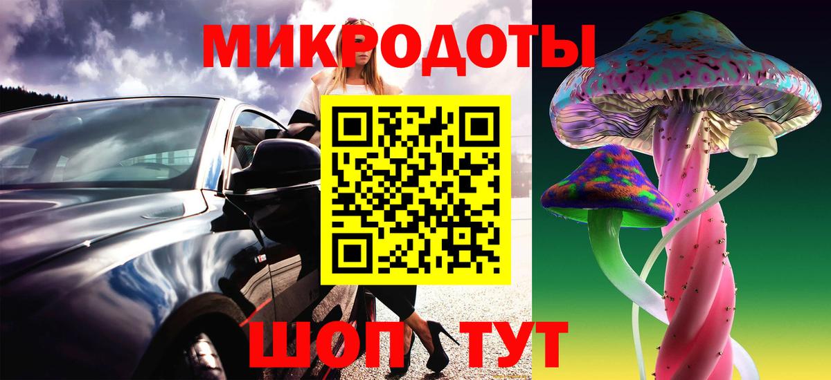 Галлюциногенные грибы Magic Shrooms Чернушка