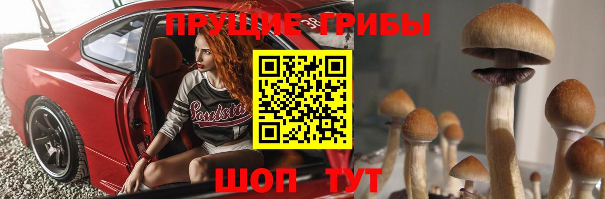 Галлюциногенные грибы прущие грибы  Вход с VPN  Чернушка 